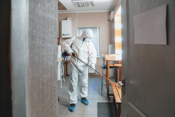 Best Mold-Related Health Consultation  in Audubon, IA