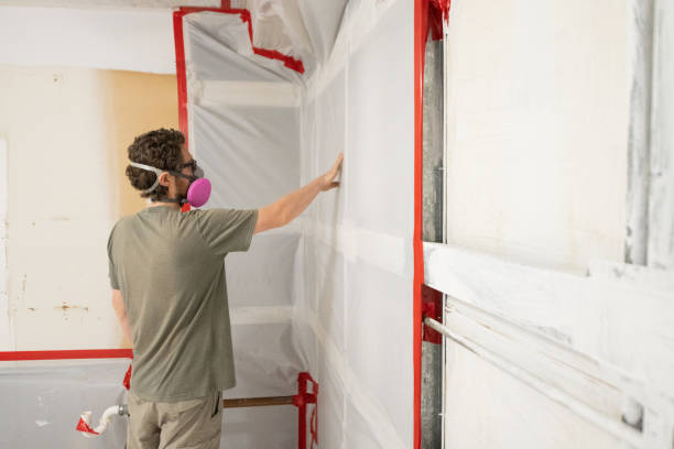 Best Attic Mold Removal  in Audubon, IA