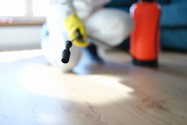 Best Mold Remediation for Healthcare Facilities  in Audubon, IA