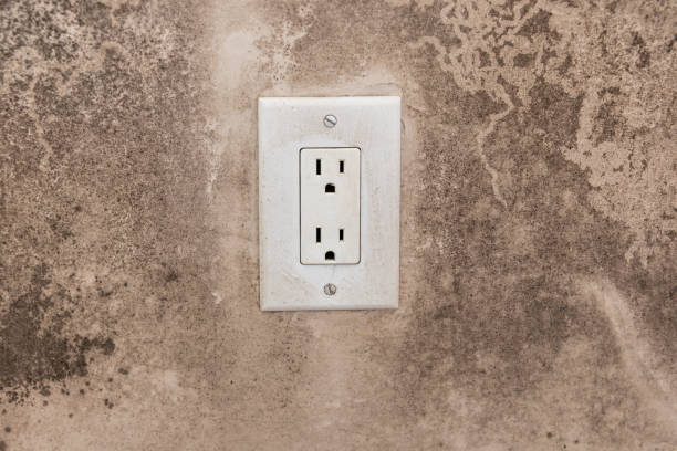 Forensic Mold Investigation in Audubon, IA